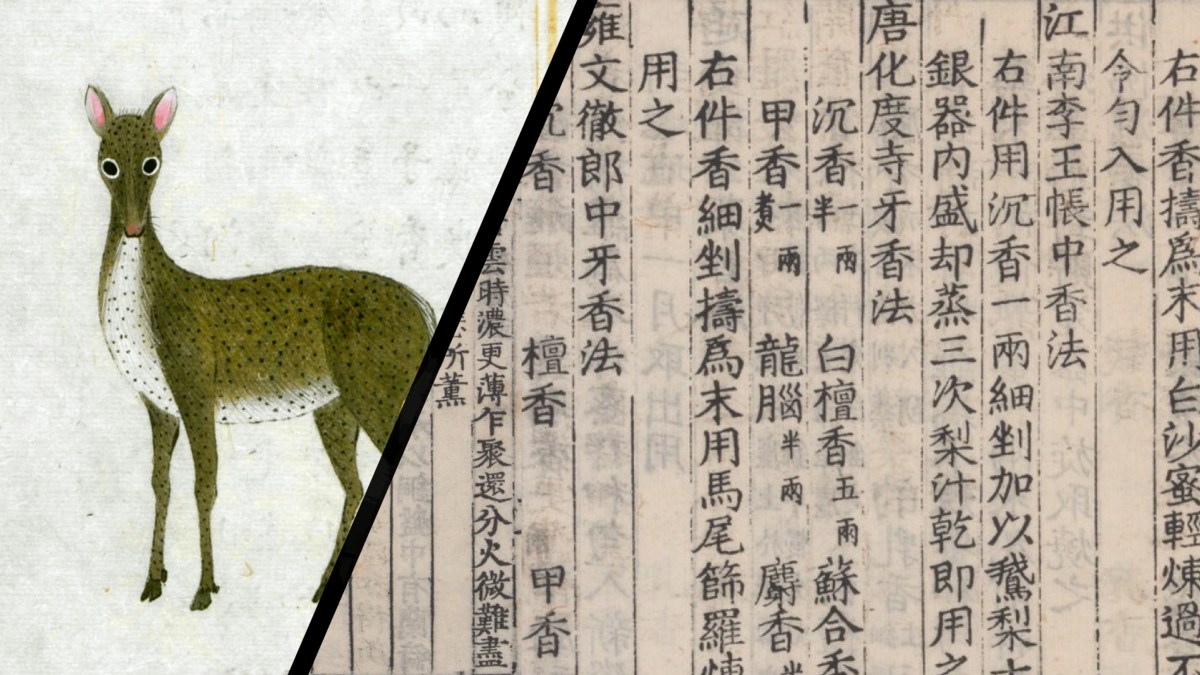 Musk (she xiang 麝香) in Medieval&nbsp;China