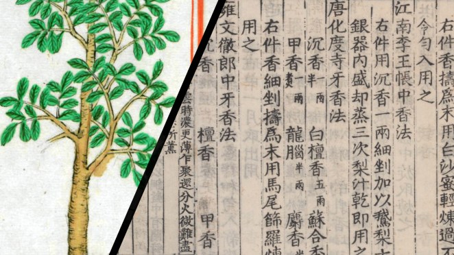 Sandalwood (tan xiang 檀香) in Medieval&nbsp;China
